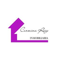 Carmina Reig INMOBILIARIA en Valencia (Extramurs) - Horario de apertura
