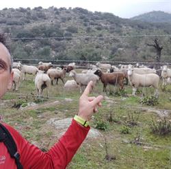 Horario de apertura Club Mundo Rural - El Seguro de Casa Rural, Miajadas