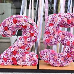 Horario de apertura Floristería Sedes, Ferrol