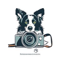 Horario de apertura Fotografiandoatumascota, Sant Boi de Llobregat