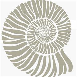 Ammonite Signature en Valencia (Eixample) - Horario de apertura