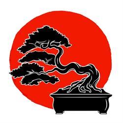 Horario de apertura Associació Bonsai de Castelló, Castellón de la Plana