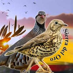 Horario de apertura Sierra del Oro, Monterrubio de la Serena