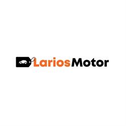 Larios Motor en Málaga (Cruz De Humilladero) - Horario de apertura