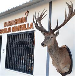 Horario de apertura Taxidermia Basilio Mansilla, Cordovilla
