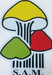 Sociedad Asturiana de Micología en Gijón (Este) - Horario de apertura