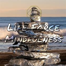 Horario de apertura Life Force Mindfulness Barcelona, 