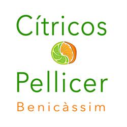 Horario de apertura Cítricos Pellicer, Benicàssim