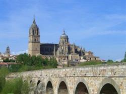 Horario de apertura Mesonero, Alba de Tormes