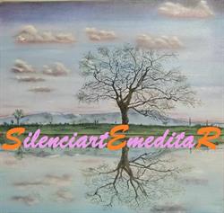 SilenciartEmeditar. Espacio de meditación, danza meditativa y encuentro en Madrid (Moncloa-Aravaca) - Horario de apertura