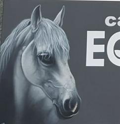 Horario de apertura Bar Equus, Burgos