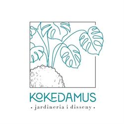 Horario de apertura Kokedamus (floristeria i disseny), L'Hospitalet de Llobregat
