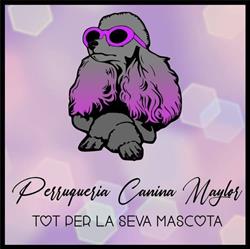 Horario de apertura Perruqueria Canina Maylor, Gandesa