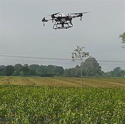 Horario de apertura ASDRONICA (Servicios con Drones), Cancienes
