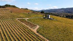 Horario de apertura Valdecontina Viñedos y Bodega, Albares de la Ribera