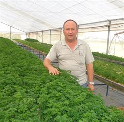 Horario de apertura Hortofruticola Piedra, Ronda