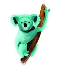 Horario de apertura Koala Cuidados Naturales, Murcia