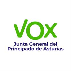 Horario de apertura Vox Asturias. Sede Grupo Parlamentario, Oviedo