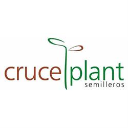 Horario de apertura Semilleros Cruceplant, SL, La Rábita