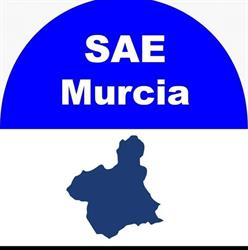 Horario de apertura Sae Murcia, 