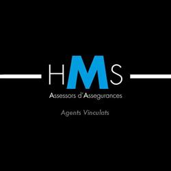 Horario de apertura HMS Assessors 2014, S.L. (Agentes vinculados de Seguros), Sabadell