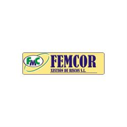 Horario de apertura Femcor Xestión de Riscos S.L., Ferrol