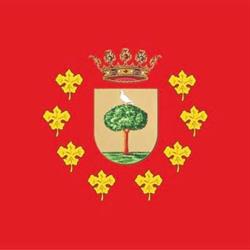 Horario de apertura Ayuntamiento De Trebujena Centralita, 