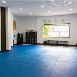 Horario de apertura Gimnasio, Artes Marciales SHINDOKAN-Aikido-Tai Chi-Defensa Personal-Yoga-Pilates, Navalcarnero