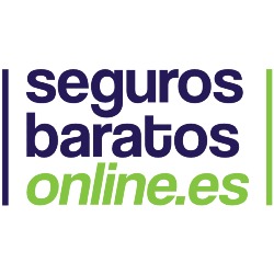 Horario de apertura Seguros Baratos Online, Viveda