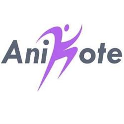 Horario de apertura Anikote, Leitza