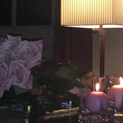 Horario de apertura MarcCramFloristes, Argentona