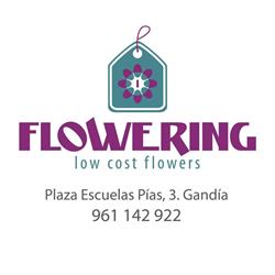 Horario de apertura FLOWERING, Gandia
