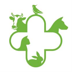 Horario de apertura Centro Veterinario Mascotiñas, Ordes