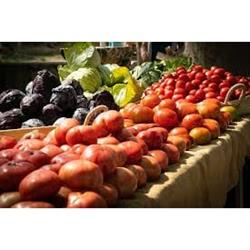 Horario de apertura Productos Hortícolas Valdellera, La Revenga
