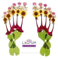 Horario de apertura Labrum Studio Centro de Osteopatía y Pilates, Santa Cruz de Tenerife