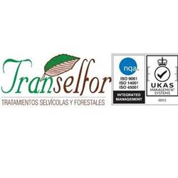 Horario de apertura Transelfor Sl, Alborea