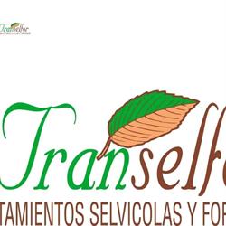 Horario de apertura Transelfor Sl, Alborea