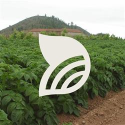 Horario de apertura Agrocabildo de Tenerife, Santa Cruz de Tenerife