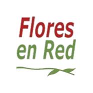 Floristería Vitoria Flores en Red en Vitoria-Gasteiz (Salburua) - Horario de apertura