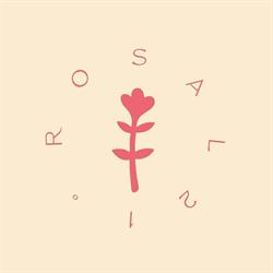 Horario de apertura Óptica Rosal 21, Oviedo