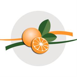 Naranjas Ribera del Jucar en Valencia (Eixample) - Horario de apertura