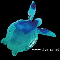 Horario de apertura Diveria Diving Center, Alcala