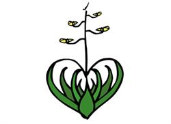Horario de apertura Corazón Agavero Mezcaloteca, Madrid