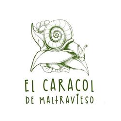 El Caracol de Maltravieso en Cáceres (Norte) - Horario de apertura