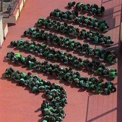 Escola Verns en Barcelona (Sant Martí) - Horario de apertura