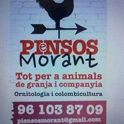 Horario de apertura Piensos Morant, De Bellreguard
