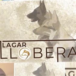 Llagar La Llobera en Madrid (Chamberí) - Horario de apertura