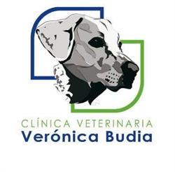 Horario de apertura Clínica Veterinaria Verónica Budia, Córdoba