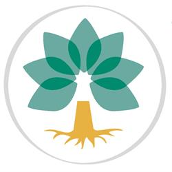 Horario de apertura Centro de Fisioterapia Vida, Granada