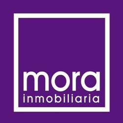 Horario de apertura Mora inmobiliaria, Elche